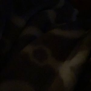 Meet your Posher, Cierra